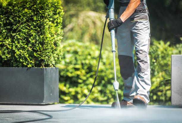 Trusted Carrizo Hill, TX Pressure Washing Services Experts
