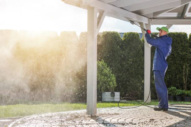 Best Warehouse Cleaning  in Carrizo Hill, TX